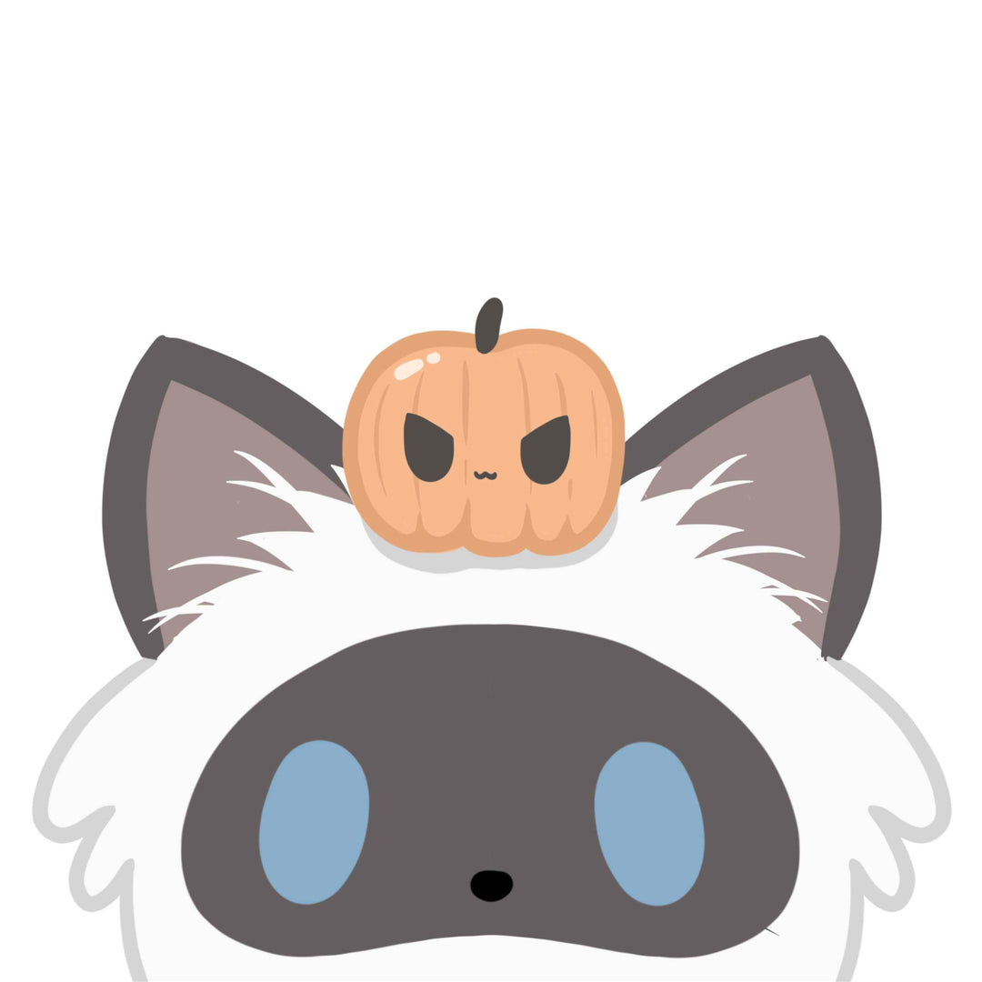 PUMPKIN KITTY PEEKER