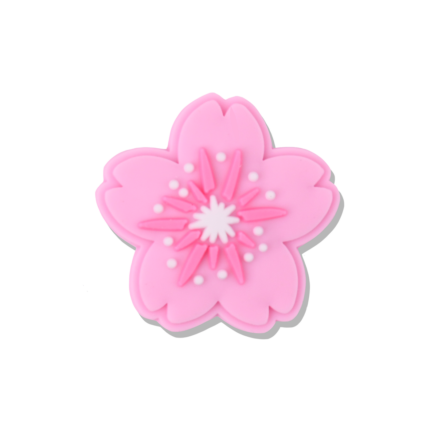 DRAGON SPIRIT' CROC CHARMS
