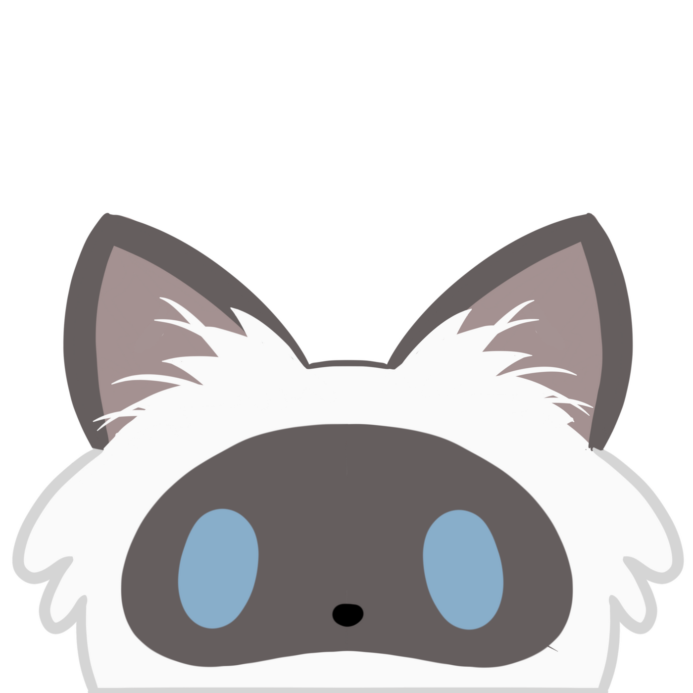 SEAL POINT' PEEKER